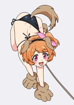 1girl aikatsu! aikatsu!_(series) all_fours animal_ear_hairband animal_ears animal_hands bikini black_bikini blush bow dog_ears dog_tail fake_animal_ears fake_tail fang full_body gloves hair_bow hairband highres leash open_mouth orange_hair osame ozora_akari paw_gloves paw_shoes pink_bow pink_eyes ponytail short_hair short_ponytail side-tie_bikini_bottom side_ponytail simple_background small_sweatdrop solo string_bikini swimsuit tail