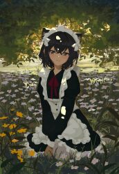 Rule 34 | 1girl, absurdres, animal ears, apron, black dress, black eyes, black hair, blush, cat ears, cat girl, closed mouth, crossed bangs, dress, field, flower, flower field, frilled apron, frills, full body, hair between eyes, head tilt, highres, juliet sleeves, kgt (pixiv12957613), long sleeves, looking at viewer, maid, maid headdress, medium hair, neck ribbon, original, outdoors, own hands together, puffy sleeves, red ribbon, ribbon, shade, sitting, smile, solo, tree, wariza, white apron, white flower, yellow flower