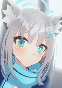 1girl absurdres animal_ear_fluff animal_ears blue_archive blue_eyes blue_halo blue_scarf blush bright_pupils closed_mouth commentary_request cross_hair_ornament frown grey_hair hair_ornament halo highres looking_at_viewer mismatched_pupils partial_commentary scarf shiroko_(blue_archive) solo white_pupils wolf_ears yukimura_88