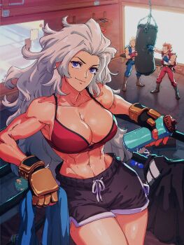 1girl 2boys against_railing billy_lee boxing_ring bra breasts cleavage commentary david_liu dolphin_shorts double_dragon english_commentary fingerless_gloves gloves grey_hair gym highres jimmy_lee kunio-kun_series large_breasts long_hair marian_kelly multiple_boys muscular muscular_female official_art punching punching_bag railing red_bra river_city_girls river_city_girls_2 short_shorts shorts smile sports_bra sweat thermos thighs underwear very_long_hair very_sweaty