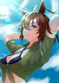 Rule 34 | 1girl, absurdres, agnes tachyon (lunatic lab) (umamusume), agnes tachyon (umamusume), ahoge, animal ears, arms up, beach, bikini, black bikini, blue sky, breasts, brown hair, cleavage, cloud, cloudy sky, commentary request, criss-cross halter, day, ear ornament, flask, green jacket, grin, hair between eyes, halterneck, highres, horse ears, horse girl, jacket, lens flare, medium breasts, messy hair, official alternate costume, official alternate hairstyle, open clothes, open jacket, outdoors, red eyes, ren-smk39110, short hair, sky, sleeves rolled up, smile, solo, swimsuit, tail, umamusume, upper body