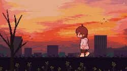 1girl ahoge animated bare_tree bird brown_eyes brown_hair building commission dusk fireflies from_side hands_in_pockets hood hood_down hoodie looping_animation orange_sky original outdoors pixel_art profile sky skyscraper solo sotie sunset tree video walking white_hoodie