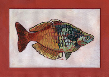Rule 34 | animal, animal focus, fish, from side, full body, jagalart, no humans, original, painterly, simple background