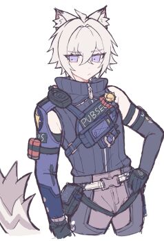 1boy :/ ahoge ammunition animal_ear_fluff animal_ears black_gloves cat_boy cat_ears cat_tail closed_mouth colored_tips commentary_request cowboy_shot crossed_bangs gloves grey_pants hair_between_eyes hair_intakes hand_on_own_hip highres jacket looking_to_the_side male_focus multicolored_hair pants police police_badge police_uniform policeman purple_eyes seth_lowell short_hair simple_background single_bare_shoulder solo tail turtleneck turtleneck_jacket white_background white_hair white_tail zenless_zone_zero zipper zipper_pull_tab znz_00