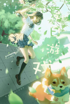 Rule 34 | 1girl, absurdres, arm up, artist name, bag, black hair, black socks, blue bow, blue bowtie, blue skirt, bow, bowtie, brown shoes, collared shirt, commentary, dated, day, dog, english commentary, falling leaves, full body, highres, holding, holding bag, leaf, loafers, long hair, looking at animal, open mouth, original, outdoors, plaid bow, plaid bowtie, plaid clothes, plaid skirt, pleated skirt, school uniform, shiba inu, shirt, shirt tucked in, shoes, short sleeves, skirt, socks, teardrops (user vgvd7733), teeth, translation request, tree, upper teeth only, white shirt