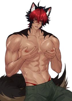 1boy abs animal_ear_fluff animal_ears black_hair blush brown_eyes commentary dark-skinned_male dark_skin english_commentary face_piercing grabbing_own_pectoral green_pants highleg highleg_panties highres komano_manato lip_piercing looking_at_viewer male_focus multicolored_hair multiple_scars navel nipples panties pants pectorals piercing red_hair red_panties rourouki scar scar_across_eye scar_on_arm scar_on_chest scar_on_face short_hair simple_background sitting solo tail thong too_many_watermarks topless_male two-tone_hair underwear watermark white_background zenless_zone_zero