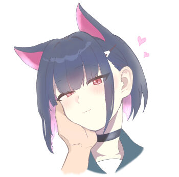 1girl animal_ears black_choker black_hair blue_archive blush cat_ears choker closed_mouth colored_inner_hair commentary_request cropped_torso extra_ears heart highres kazusa_(blue_archive) looking_at_viewer multicolored_hair nekozuki pink_eyes pink_hair pov pov_hands short_hair simple_background smile solo_focus white_background