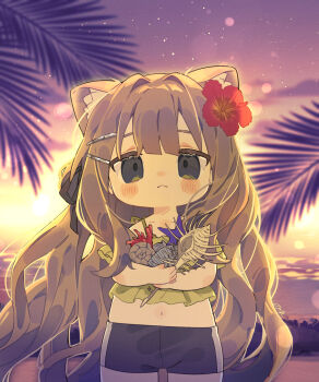 Rule 34 | 1girl, animal ear fluff, animal ears, beach, black shorts, blush stickers, brown hair, cat ears, cat girl, closed mouth, commentary request, cowboy shot, evening, flower, grey eyes, hair flower, hair ornament, highres, holding seashell, kipfel (vrchat), long hair, looking at viewer, navel, notamaru 2, outdoors, red flower, shorts, solo, vrchat