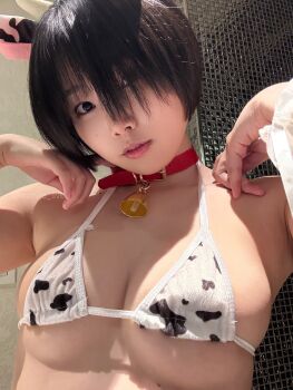 1girl absurdres animal_ears animal_print asian bell bikini black_hair breasts collar cow_ears cow_horns cow_print cow_print_bikini cowbell fake_animal_ears fake_horns highres horns indoors japanese_(nationality) looking_at_viewer medium_breasts neck_bell photo_(medium) print_bikini real_life red_collar short_hair solo sumire_live swimsuit twitter_username