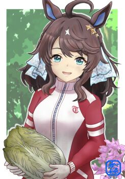 Rule 34 | 1girl, ahoge, alternate costume, animal ears, basket, blue eyes, blurry, blurry background, blush, breasts, commentary request, daring tact (umamusume), food, forest, gloves, hair between eyes, hair ornament, horse ears, horse girl, jacket, kanadetoki, long hair, looking at viewer, napa cabbage, nature, open mouth, outdoors, revision, smile, solo, star (symbol), star hair ornament, track jacket, umamusume