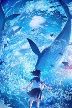 1girl absurdres blue_theme cloud facing_away fish from_behind highres kenzo_093 ocean pleated_skirt sailor_collar scenery school_uniform serafuku shirt short_sleeves skirt sky socks solo standing underwater water whale