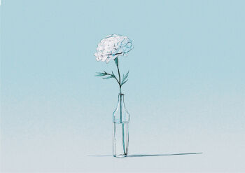 Rule 34 | absurdres, blue background, blue theme, bottle, carnation, comiket 107, commentary request, flower, flower focus, glass bottle, gradient background, highres, invisible floor, mitsubachi (roundbee), no humans, original, shadow, still life, water, white carnation, white flower, wine bottle
