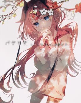 1girl blue_eyes branch buglug_(vocaloid) collar collared_shirt commentary covering_own_mouth cowboy_shot dappled_sunlight flower head_tilt highres horns karanagare long_hair long_sleeves looking_at_viewer low_twintails meika_hime own_hands_together pink_hair pink_skirt plum_blossoms red_collar shirt skirt solo song_name standing sunlight twintails very_long_hair vocaloid white_background white_flower white_shirt