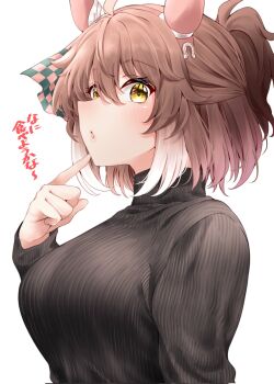 animal_ears black_sweater blush bow brown_hair checkered_ribbon commentary_request dantsu_flame_(umamusume) ear_covers ear_ribbon hairband highres horse_ears horse_girl looking_at_viewer medium_hair parted_lips pink_hairband ponytail red_hayao ribbed_sweater simple_background sweater umamusume upper_body white_background