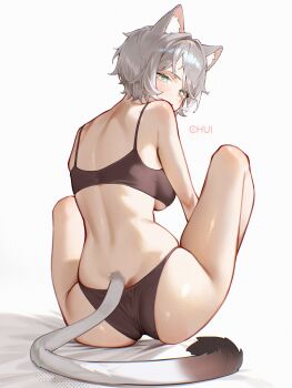 1girl animal_ears artist_name ass back blue_eyes bra breasts brown_bra brown_panties cat_ears cat_tail chui_art cipher_(honkai:_star_rail) commentary english_commentary from_behind grey_hair highres honkai:_star_rail honkai_(series) looking_at_viewer medium_breasts panties short_hair solo tail underwear white_background