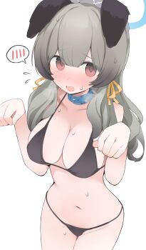 1girl animal_ears belt_collar bikini black_bikini blue_archive blue_collar blue_halo blush breasts cleavage collar commentary_request dog_ears dog_girl flying_sweatdrops grey_hair hair_ribbon halo hands_up highres hone_kawa large_breasts long_hair looking_at_viewer low-tied_sidelocks navel nose_blush open_mouth paw_pose red_eyes revision ribbon sidelocks simple_background solo speech_bubble spoken_blush sweat swimsuit umika_(blue_archive) variant_set white_background yellow_ribbon