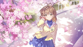 Rule 34 | 1girl, antenna hair, blue skirt, brown eyes, brown hair, brown jacket, cherry blossoms, clannad, fence, furukawa nagisa, harutatsunoki, highres, hikarizaka private high school uniform, jacket, long sleeves, medium hair, outdoors, pink petals, sailor collar, school uniform, skirt, smile, solo, sunlight, white sailor collar