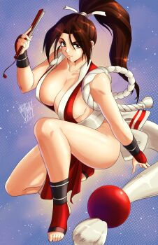1girl breasts fatal_fury highres large_breasts long_hair shiranui_mai tagme