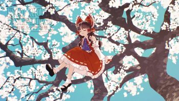 Rule 34 | 1girl, ascot, black shoes, blue ascot, bow, brown hair, cherry blossoms, closed eyes, closed mouth, commentary request, detached sleeves, facing viewer, frilled bow, frilled hair tubes, frilled skirt, frills, hair bow, hair tubes, hakurei reimu, highres, katsuragi atori, long hair, mary janes, red bow, red skirt, ribbon-trimmed skirt, ribbon-trimmed sleeves, ribbon trim, shoes, sitting on branch, skirt, skirt set, socks, solo, touhou, twitter username, watermark, white socks