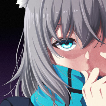 1girl animal_ear_fluff blue_archive blue_eyes blue_scarf commentary_request grey_hair hair_between_eyes highres kouji_(campus_life) long_hair looking_at_viewer scarf scarf_over_mouth shaded_face shiroko_(blue_archive) solo