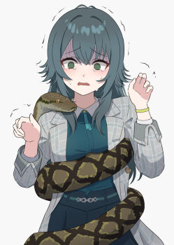 1girl antenna_hair black_skirt blue_hair blue_ribbon blue_shirt bracelet breasts collared_shirt commentary_request constriction cowboy_shot crying crying_with_eyes_open empty_eyes frown gakuen_idolmaster green_eyes grey_jacket hair_flaps hands_up highres idolmaster jacket jewelry lapels long_hair long_sleeves medium_breasts neck_ribbon open_clothes open_jacket open_mouth plaid_clothes plaid_jacket python ribbon scared shirt shirt_tucked_in simple_background skirt solo standing tatama tears trembling tsukimura_temari turn_pale wavy_mouth white_background