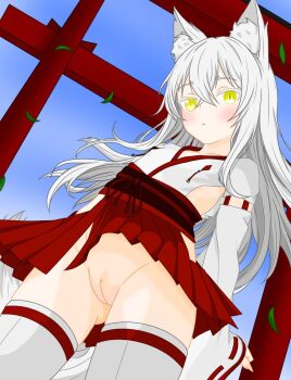 1girl animal_ear_fluff animal_ears architecture arms_behind_back blue_sky blush clothes_lift clothing_cutout cowboy_shot dutch_angle flat_chest fox_ears fox_girl fox_tail gluteal_fold gozaburo_anderson grey_hair hair_between_eyes hakama hakama_skirt hip_vent japanese_clothes kimono leaf loli long_hair long_sleeves looking_at_viewer miko no_panties nontraditional_miko obi open_mouth original outdoors pussy red_hakama ribbon_trim sash skindentation skirt skirt_lift sky slit_pupils solo tail thighhighs torii uncensored white_kimono white_thighhighs wide_sleeves wind wind_lift yellow_eyes