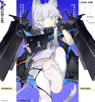 1girl absurdres animal_ears arknights book cat_ears cat_girl chinese_text expressionless feet foot_focus green_eyes grey_hair highres holding holding_book infection_monitor_(arknights) meiwei_de_jianbing pantyhose presenting_foot rhodes_island_logo_(arknights) rosmontis_(arknights) tail thigh_strap white_pantyhose