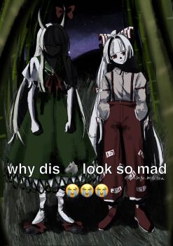 Rule 34 | 2girls, bamboo, bamboo forest, bow, commentary request, dress, ex-keine, fire, forest, fujiwara no mokou, full body, green dress, green hair, hair bow, hakutaku, highres, horn bow, horn ornament, horn ribbon, horns, kamishirasawa keine, long hair, meme, multiple girls, multiple hair bows, nature, ofuda, ofuda on clothes, pants, red eyes, red pants, ribbon, suspenders, torn clothes, torn sleeves, touhou, watage milktea, white bow, white hair, why dis ninja look so mad (meme)