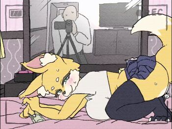 1boy 1girl animated animated_gif bed blush breasts camera claws crop_top dog dog_girl furry furry_female green_eyes horideiyasumi jiggle looking_at_viewer looping_animation medium_breasts miniskirt money on_bed recording reflection room sexually_suggestive skirt sweat thighhighs tissue_box underboob v