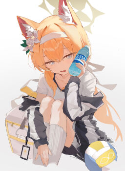 1girl absurdres animal_ear_fluff animal_ears backlighting ball black_jacket black_shorts blue_archive blue_eyes blush bottle cat_ears cat_girl chinese_commentary collarbone commentary feet_out_of_frame flower furrowed_brow gym_shirt gym_uniform hair_between_eyes hair_flower hair_intakes hair_ornament hair_ribbon halo hand_up highres holding holding_bottle hugging_own_legs id_card jacket kneehighs knees_up lirn long_hair long_sleeves looking_at_viewer low_ponytail mari_(blue_archive) mari_(track)_(blue_archive) official_alternate_costume official_alternate_hairstyle open_mouth orange_hair ponytail ribbon shirt short_sleeves shorts sidelocks simple_background sitting socks solo sweatdrop trinity_general_school_logo very_long_hair volleyball_(object) water_bottle white_background white_flower white_ribbon white_shirt white_socks yellow_halo
