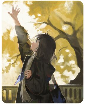 1girl arm_up autumn backlighting bag black_coat black_hair blue_bag border coat from_side grey_scarf highres hood hooded_coat looking_up medium_hair original outdoors profile scarf siguma_(13238772100) solo sunlight tree white_border