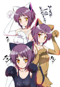 Rule 34 | 3girls, acuo, animal ears, animal hands, black dress, black gloves, breasts, brown gloves, cat ears, cat tail, commentary request, dress, elbow gloves, fake animal ears, fake tail, gloves, highres, kashi, medium breasts, multiple girls, multiple persona, multiple views, nagato yuki, orange eyes, paw gloves, paw pose, purple hair, short hair, simple background, sleeveless, sleeveless dress, standing, suzumiya haruhi no yuuutsu, tail, thighhighs, translation request, white background, white dress, white gloves