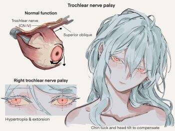 Rule 34 | 1girl, anatomy, bare shoulders, colored eyelashes, commentary, dotted line, earrings, english commentary, english text, expressionless, eye focus, head tilt, highres, jewelry, lips, long hair, no shirt, organs, original, photo-referenced, portrait, red eyes, solo, white background, white hair, zxcwnkxendsbsw