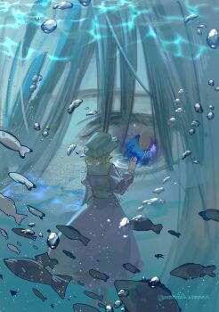 2girls air_bubble annindofu_umaaa blonde_hair bubble commentary_request dress fish from_behind hat highres long_sleeves maribel_hearn medium_hair mob_cap multiple_girls purple_dress touhou twitter_username underwater usami_renko water watermark