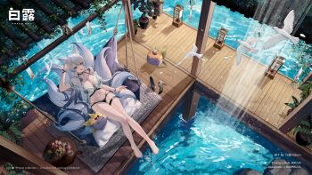 1girl absurdres animal animal_ears artist_name bird breasts cat chibi coconut day feet flower_pot food fruit full_body highres kitsune lamp large_breasts leaf long_hair looking_up multiple_tails navel plant raindrop.tw scenery shirt sitting smile swimsuit tail water waterfall wet wet_clothes wooden_floor