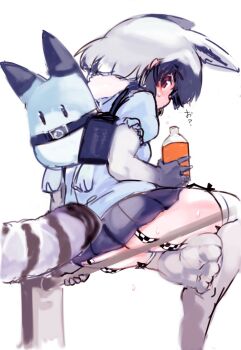 Rule 34 | 1girl, absurdres, animal ears, ass, backpack, bag, black hair, blush, bottle, checkered clothes, commentary request, common raccoon (kemono friends), drink, elbow gloves, from side, fur collar, garter straps, gloves, grey hair, highres, holding, holding bottle, hondadadadatsu, kemono friends, looking at viewer, lucky beast (kemono friends), medium hair, microskirt, multicolored hair, no shoes, pleated skirt, raccoon ears, raccoon girl, raccoon tail, red eyes, short sleeves, sideways glance, sitting, sketch, skirt, solo, sweat, tail, thighhighs, white hair, white thighhighs