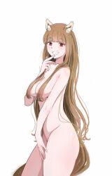 Rule 34 | 1girl, animal ear fluff, animal ears, breasts, brown hair, completely nude, cowboy shot, hair censor, highres, holo, long hair, medium breasts, nude, osage gankyou, red eyes, simple background, smile, spice and wolf, standing, tail, white background, wolf ears, wolf girl, wolf tail