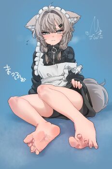 1girl absurdres animal_ear_fluff apron bare_legs barefoot bike_shorts black_dress black_shorts blue_background blush closed_mouth dress feet frilled_apron frills full_body grey_eyes grey_hair grey_tail hair_intakes hair_ornament hairclip highres hisui_(ashiurakyou) legs long_sleeves looking_at_viewer maid_headdress on_ground original shorts shorts_under_dress simple_background sitting soles solo spread_toes toenails toes white_apron