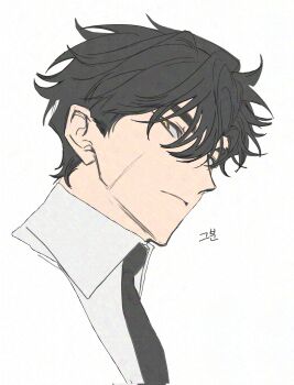 1boy black_hair black_necktie collared_shirt curtained_hair head_tilt highres looking_at_viewer male_focus necktie omniscient_reader&#039;s_viewpoint paradero_91 portrait scar scar_on_face secretive_plotter shirt short_hair solo vest white_shirt white_vest yellow_eyes yoo_joonghyuk