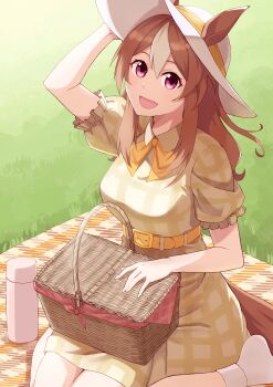 Rule 34 | 1girl, absurdres, animal ears, belt, blush, bow, breasts, brown hair, casual, commentary request, copano rickey (casual) (umamusume), copano rickey (umamusume), dress, ears through headwear, fang, hair between eyes, hashtag-only commentary, hat, highres, horse ears, horse girl, horse tail, large breasts, long hair, looking at viewer, multicolored hair, open mouth, picnic basket, picnic blanket, plaid clothes, plaid dress, purple eyes, row (kentaro 0904), sitting, smile, socks, solo, sun hat, tail, thermos, umamusume, wariza, white hair, white socks, yellow belt, yellow bow