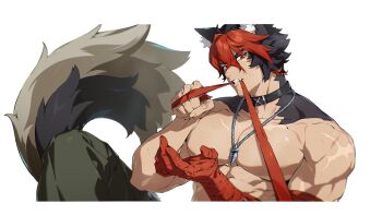 1boy abs animal_ear_fluff animal_ears bandage_in_mouth bandaged_arm bandaged_hand bandages biceps black_collar black_hair clenched_teeth collar collarbone crossed_bangs dog_boy dog_ears dog_tail green_pants hair_between_eyes hands_up highres jewelry knee_up komano_manato large_pectorals looking_at_viewer male_focus mindscape_cinema_(zenless_zone_zero) mouth_hold multicolored_hair multiple_scars muscular muscular_male necklace official_art pants pectorals red_eyes red_hair scar scar_across_eye scar_on_arm scar_on_chest scar_on_face scar_on_shoulder short_hair solo tail teeth thick_eyebrows topless_male transparent_background two-tone_hair upper_body v-shaped_eyebrows zenless_zone_zero