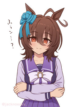 1girl absurdres agnes_tachyon_(umamusume) ahoge animal_ears blue_bow blue_ribbon blush bow bowtie breasts brown_hair closed_mouth collarbone crossed_arms ear_bow hair_between_eyes highres horse_ears horse_girl huge_ahoge jack_(jacknoeaka) long_sleeves looking_at_viewer medium_hair purple_sailor_collar purple_serafuku purple_shirt purple_skirt red_eyes ribbon sailor_collar sailor_shirt school_uniform serafuku shirt simple_background skirt smile solo tracen_school_uniform umamusume upper_body white_background white_bow white_bowtie