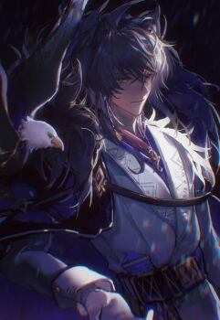 1boy absurdres arknights bald_eagle bird black_background black_cape cape chinese_commentary closed_mouth commentary_request eagle grey_hair highres jacket long_sleeves male_focus sidelighting silverash_(arknights) silverash_the_reignfrost_(arknights) snow_leopard_boy snow_leopard_ears solo upper_body white_jacket zeko
