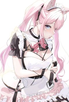 Rule 34 | 1girl, animal ear fluff, animal ears, apron, belt, black belt, black dress, blue eyes, bow, bowtie, breasts, closed mouth, cowboy shot, dress, edge ill, frilled apron, frilled dress, frills, hakui koyori, hakui koyori (dark maid), hashtag-only commentary, highres, holding, holding belt, hololive, long hair, looking at viewer, maid, maid apron, maid headdress, medium breasts, official alternate costume, parted bangs, pink bow, pink bowtie, pink hair, simple background, solo, twintails, virtual youtuber, white apron, white background, wolf ears, wolf girl