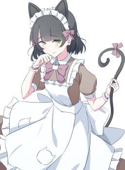 1girl animal_ears apron black_hair bow bowtie brown_dress cat_brooch cat_ears cat_girl cat_tail collared_dress contrast_collar cowboy_shot dress frilled_apron frills green_eyes highres holding_own_tail junnatsu link!_like!_love_live! looking_at_viewer love_live! maid maid_apron maid_headdress medium_dress medium_hair momose_ginko nyan_nyan_nyan_fair_in_gamers official_alternate_costume pink_bow pink_bowtie puffy_short_sleeves puffy_sleeves short_sleeves simple_background solo tail virtual_youtuber white_apron white_background