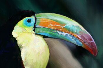 animal animal_focus bird close-up from_side highres no_humans original painterly toucan twulfs
