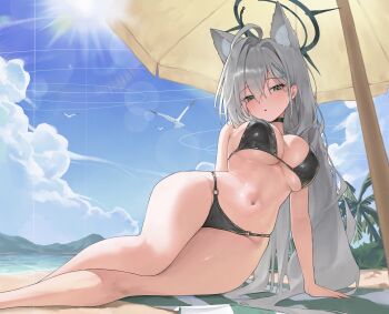 1girl absurdres ahoge alternate_costume animal_ear_fluff animal_ears bare_shoulders beach bikini bird black_bikini blue_archive blue_eyes blue_sky blush breasts cham_ggi choker cloud cross_hair_ornament day extra_ears grey_hair hair_ornament halo halterneck highres large_breasts legs long_hair looking_at_viewer navel outdoors seagull shiroko_terror_(blue_archive) sitting sky solo stomach string_bikini swimsuit water wolf_ears wolf_girl