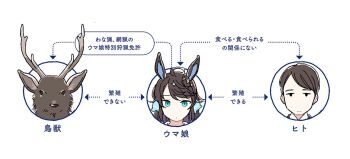 1boy 1girl 1other animal_ears black_hair blue_eyes chart check_translation commentary commentary_request daring_tact_(umamusume) deer hair_ornament horns horse_ears horse_girl long_hair looking_at_viewer mochi_mayushi partially_translated star_(symbol) star_hair_ornament symbol-only_commentary trainer_(umamusume) translation_request umamusume white_background