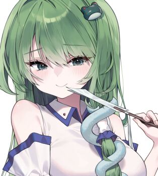 1girl bare_shoulders closed_mouth collared_shirt commentary detached_sleeves frog_hair_ornament gohei green_eyes green_hair hair_ornament hair_tubes highres holding holding_gohei kochiya_sanae long_hair looking_at_viewer portrait pudding_(skymint_028) shirt simple_background single_hair_tube sleeveless sleeveless_shirt smile snake_hair_ornament solo symbol-only_commentary touhou white_background white_shirt white_sleeves