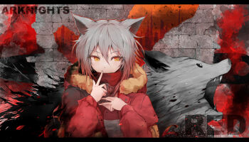 1girl animal animal_ears arknights commentary copyright_name covered_mouth fur-trimmed_hood fur_trim grey_hair hair_between_eyes highres hood hood_down hooded_jacket jacket letterboxed long_sleeves projekt_red_(arknights) red_jacket red_scarf scarf short_hair solo upper_body wolf yatsu_(yatsu_a_yatsu) yellow_eyes